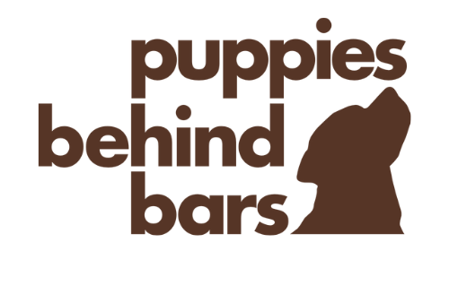 puppiesbehindbars-aspect-ratio-310-210